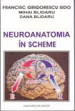 AS - FRANCISC GRIGORESCU SIDO, MIHAI BLIDARU, DANA BLIDARU - NEUROANATOMIA &Icirc;N SCHEME