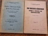 Din trecutul Banatului, Cartea 1 și a a II a