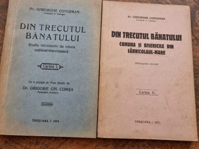 Din trecutul Banatului, Cartea 1 și a a II a foto