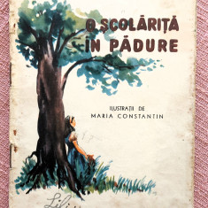 O scolarita in padure. Ilustratii de Maria Constantin - Cicerone Theodorescu