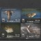 Fauna marina ,pasari,WWf,St.Vincent.