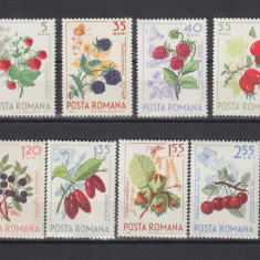 ROMANIA 1964 LP 598 FRUCTE DE PADURE SERIE MNH