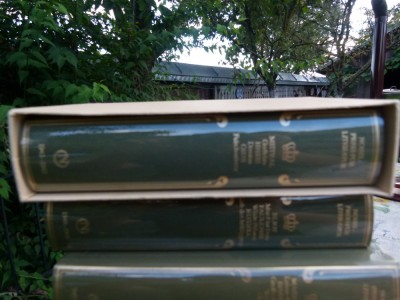 Mistral-Gedichte, Hesse-Demian, Gide-Falschmunzer foto