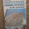 ISAAC BASHEVIS SINGER - GHIMPL NETOTUL SI ALTE POVESTIRI
