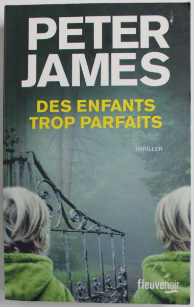 DES ENFANTS TROP PARFAITS par PETER JAMES , THRILLER , 2014