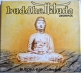 Yves Coignet, Abdelkader Khabouri &lrm;&ndash; Buddhattitude Liberdade [ cd ] VG+ / NM George V Rec 2007 Europa