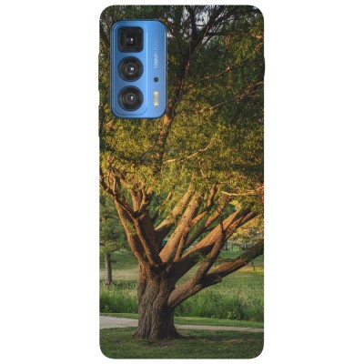 Husa compatibila cu Motorola G20 model Elm tree, Silicon, TPU, Viceversa foto