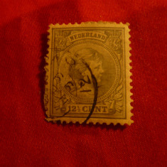 2 Timbre Olanda 1891 -12 1/2 gri , stampilate