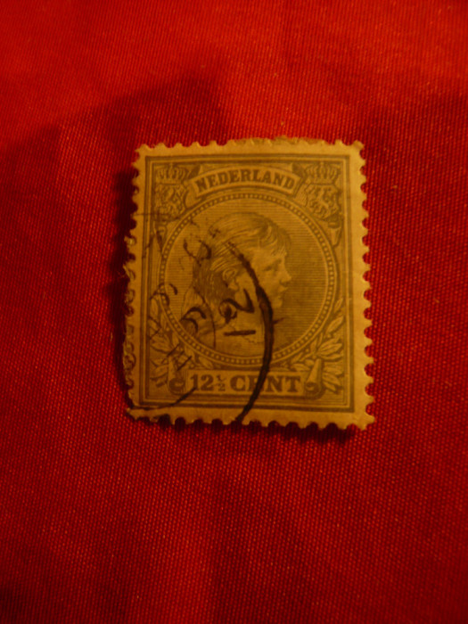 2 Timbre Olanda 1891 -12 1/2 gri , stampilate