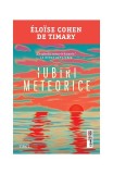 Iubiri meteorice Roman Fictiune Paperback brosat Eloise Cohen de Timary Trei