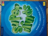 Super Minds Caiet Elev Clasa 1 Limba Engleza Art Klett - Auxiliar