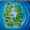 Super Minds - caietul elevului, cls. I, limba engleza, Art Klett