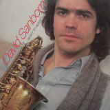 Vinil David Sanborn &ndash; Heart To Heart (VG++)