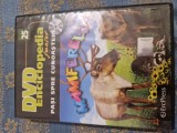 DVD Enciclopedia pentru copii mamifere