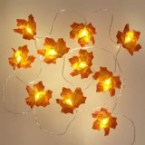 Ghirlandă Toamnă Portocalie cu Becuri LED pentru Decor Cozy, CMCLASS