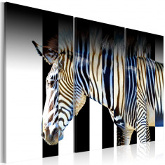 Tablou canvas 3 piese - Stripes - 60x40 cm foto
