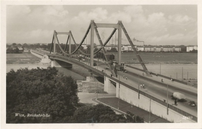 *Austria, poduri (10), Viena, c.p.i., necirculata