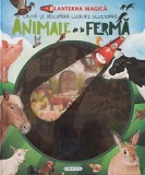 Animale de la ferma. Lanterna magica. Cauta si descopera lucruri uluitoare!/***