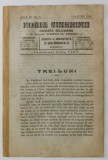 FOAIA TINERIMII , REVISTA BILUNARA , NR. 6 , APARUTA LA BUCURESTI , 1919