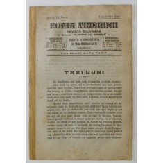 FOAIA TINERIMII , REVISTA BILUNARA , NR. 6 , APARUTA LA BUCURESTI , 1919