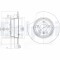 DELPHI BG3629 Disc frana