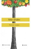 Roman rusesc - Meir Shalev