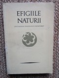 EFIGIILE NATURII: ANTOLOGIA PASTELULUI ROMANESC-PETRE STOICA, MIRCEA TOMUS