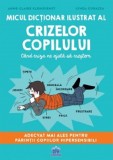 Micul Dictionar Ilustrat Al Crizelor Copilului, Anne-Claire Kleindienst, Lynda Corazza - Editura DPH