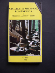 Civilizatie milenara romaneasca in Muzeul &amp;quot;Astra&amp;quot; Sibiu. Arta populara. Catalog foto