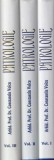 Arhid. Prof. Dr. Constantin Voicu - Patrologie, 3 volume