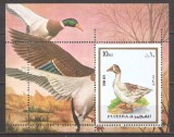 FUJEIRA 1972 FAUNA ( colita dantelata ) MNH