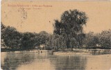CP Periam Perjamos Insula zanelor ND(1911)
