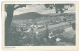 5509 - ANINA, Caras-Severin, Panorama, Romania - old postcard - unused