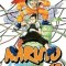 Naruto, Volume 12
