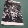 CARTE POSTALA CIRCULATA -DRUMUL SPRE BORSEC