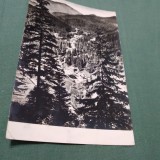 CARTE POSTALA CIRCULATA -DRUMUL SPRE BORSEC