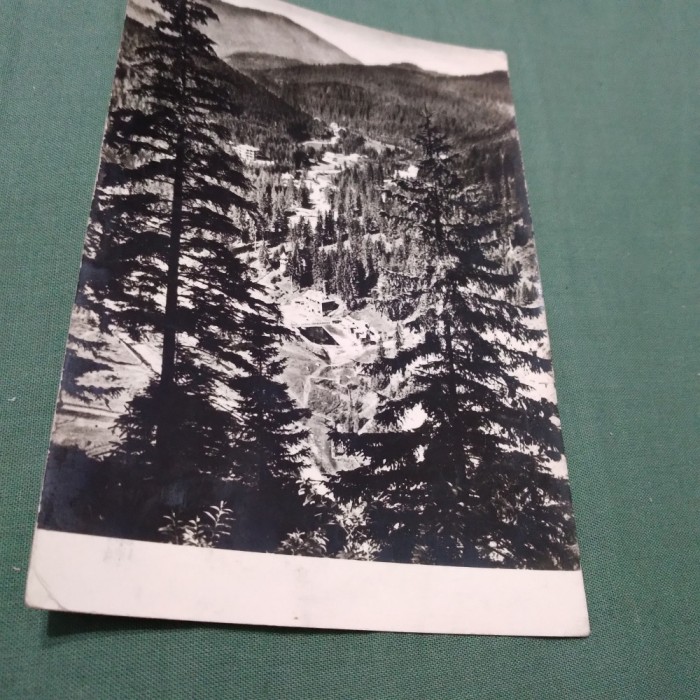 CARTE POSTALA CIRCULATA -DRUMUL SPRE BORSEC
