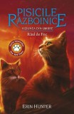 Pisicile războinice. Viziunea din umbre. R&acirc;ul de foc (Vol. 35) - Erin Hunter