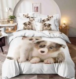 Cumpara ieftin Lenjerie pat single,bumbac finet,4 piese,cearceaf cu elastic 140x200cm,cearceaf pilota 155x205cm,2 fete de perna 55x80cm-A1247