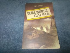 ION ARAMA - DETASAMENTUL CALINA