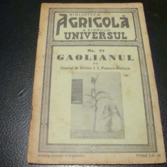 Popescu Sanitaru - Gaolianul - biblioteca agricola Universul - 1937