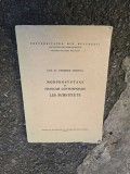 Morphosyntaxe du fran&ccedil;ais contemporain: Les substituts - Conf. dr. Teodora Cristea