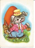 (A) carte postala-FELICITARE catelul picor