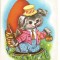 (A) carte postala-FELICITARE catelul picor