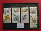 1966 - PLANTE SUBACVATICE
