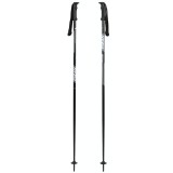 Bețe de schi FIZAN Action 115cm grey/black