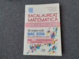 BACALAUREAT MATEMATICA GHID PREGATIRE 2016 ED DELFIN CAMELIA MARIA MAGDAS