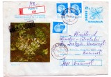Romania 1984 Expoflora &#039;84, Recomandata Petrila, intreg postal, 105/1984