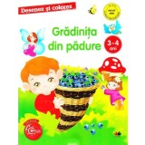 Desenez si colorez. Gradinita din padure 3-4 ani |