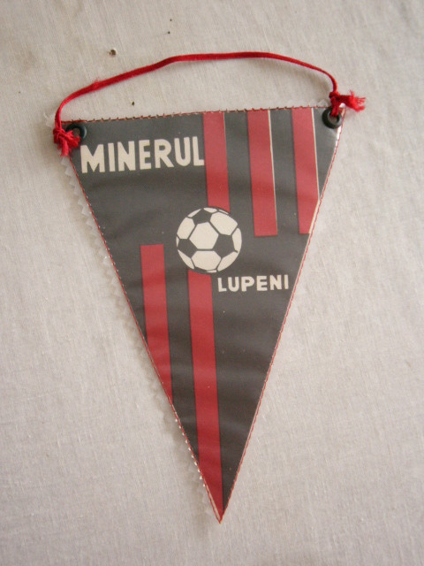 M3 C7 - Tematica cluburi sportive - Minerul Lupeni